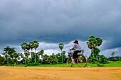 Kambodscha, Kompong Chhnang oder Kampong Chhnang, Palmen, Fahrrad