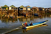 Cambodia, Kompong Phluc or Kampong Phluc, near Siem Reap, stilt house village, flooded forest on the banks of Tonlé Sap lake