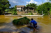 Kambodscha, Provinz Kompong Thom, Kompong Thom oder Kampong Thom, überschwemmtes Dorf zur Monsunzeit