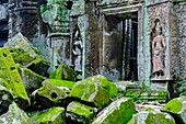 Cambodia, Angkor on World Heritage list of UNESCO, Ta Prohm temple, built in 12 th. century, by King Jayavarman VII