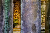 Cambodia, Angkor on World Heritage list of UNESCO, Preah Khan of Angkor, built in 1191 by King Jayavarman VII, Apsara statue