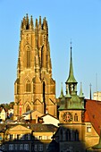 Switzerland, Canton of Fribourg, Fribourg, City Hall and San Nicolas Cathedral