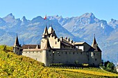 Schweiz, Kanton Waadt, Aigle, das von Weinbergen umgebene Schloss