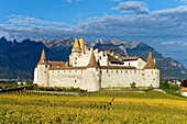 Schweiz, Kanton Waadt, Aigle, das von Weinbergen umgebene Schloss