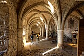 Suisse, Canton of Vaud, Lake Geneva, Veytaux, Chillon Castle at South Montreux, cellar and former prison