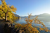 Suisse, Canton of Vaud, Lake Geneva, Veytaux, Chillon Castle at South Montreux