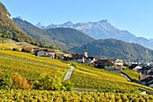 Schweiz, Kanton Waadt, Yvorne, kleines Städtchen inmitten von Weinbergen