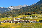 Schweiz, Kanton Waadt, Yvorne, kleines Städtchen inmitten von Weinbergen