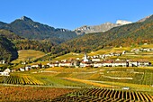 Schweiz, Kanton Waadt, Yvorne, kleines Städtchen inmitten von Weinbergen