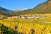 Switzerland, Canton of Vaud, Yvorne, small town surrounded by vineyards