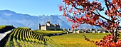 Schweiz, Kanton Waadt, Aigle, das von Weinbergen umgebene Schloss