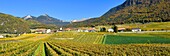 Switzerland, Canton of Vaud, Yvorne, small town surrounded by vineyards