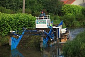 France, Pas de Calais, Saint Omer, Faucardeuse, machine that removes algae from the bottom of the channels of the marsh audomarois and which ensures navigability