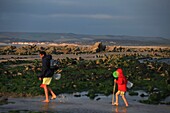 Frankreich, Pas de Calais, Audinghen, Cap Gris Nez, Framzelle Strand am Kap Gris Nez bei Ebbe