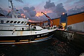 Frankreich, Pas de Calais, Boulogne sur Mer, der Fischereihafen, Boulogne sur Mer, 6 Uhr morgens, ein Trawler kommt vom Fischen zurück, wir entladen seine Ladung