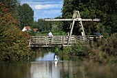 France, Pas de Calais, Saint Omer, National Nature Reserve of Romelaere Ponds