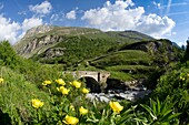 France, Savoie, Haute Maurienne, Vanoise massif, national park, Bonneval sur Arc, a bridge built on the Arc river downstream from the hamlet of Ecot