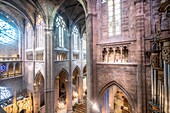 France, Aveyron, Rodez, Notre Dame cathedral, 12th-16th century, the organ and the nave