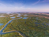 France, Somme, Baie de Somme, between Noyelles sur Mer and Le Crotoy, Flight over the bottom of the Baie de Somme, purple spots are sea lilies, ponds are the pools of hunting huts (aerial view)