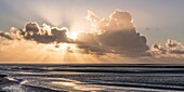 France, Somme, Baie de Somme, Natural Reserve of the Baie de Somme, Beaches of the Maye, dusk in the Baie de Somme at low tide