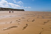 Frankreich, Pas de Calais, Opalküste, Großer Ort der beiden Caps, Escalles, Cap Blanc nez, der Strand von Escalles und die Klippen von Cap Blanc Nez