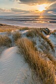 Frankreich, Somme, Picardie-Küste, Fort-Mahon, die Dünen von Marquenterre, zwischen Fort-Mahon und der Bucht von Authie, die weißen Dünen, die zur Stabilisierung mit Schilf bedeckt sind