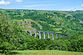 Frankreich, Cantal, Regionaler Naturpark der Vulkane der Auvergne, monts du Cantal, vallee de Cheylade (Cheylade-Tal), Riom es Montagne, Viadukt von Barajol