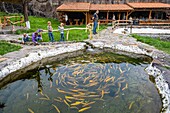 Armenien, Region Schirak, Gjumri, Fischrestaurant Cherkezi Dzor