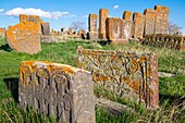 Armenien, Region Gegharkunik, Umgebung von Sewan, Noraduz (oder Noratus), Friedhof mit mittelalterlichen Gräbern, genannt Khachkars, am Ufer des Sewansees