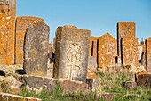 Armenien, Region Gegharkunik, Umgebung von Sewan, Noraduz (oder Noratus), Friedhof mit mittelalterlichen Gräbern, genannt Khachkars, am Ufer des Sewansees