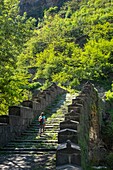 Armenia, Lorri region, Debed valley, Alaverdi, Sanahin bridge, 12th century medieval bridge over Debed river