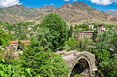 Armenia, Lorri region, Debed valley, Alaverdi, Sanahin bridge, 12th century medieval bridge over Debed river