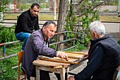 Armenia, Lorri region, Vanadzor, men playing backgammon (or tavla)