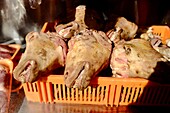 Turkey, Istanbul, Fatih district, Kadinlar Pazari market (women's market), dried sheep's heads