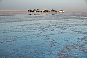 Ethiopia, Afar regional state, Danakil depression, lake Karoum, tourist vehicles