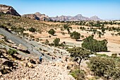 Ethiopia, Tigray regional state, Gheralta range, landscape