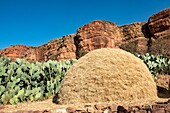 Ethiopia, Tigray regional state, Gheralta range, village