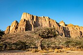 Ethiopia, Tigray regional state, Gheralta range, landscape