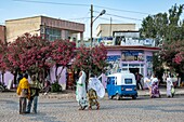 Äthiopien, Regionalstaat Tigray, Stadt Axoum, eine Straße mit Tuk Tuk