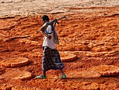 Ethiopia, Danakil depression, Afar region, Volcanic site of acid hot springs. Armed guard