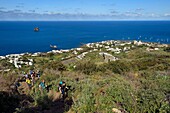 Italien, Sizilien, Äolische Inseln, UNESCO-Welterbe, Insel Stromboli, Wanderer beim Aufstieg zum Vulkan, im Hintergrund das Dorf Stromboli und die Insel Strombolicchio