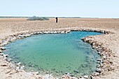 Marocco, Oued Ed-Dahab, Dakhla, Imlili, character at the edge of a saltwater hole in the middle of the desert