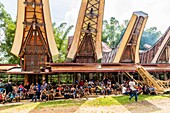 Indonesien, Insel Sulawesi, Toraja-Land, Tana Toraja, Gegend um Rantepao, Hahnenkampf