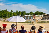 Frankreich, Oise, Chantilly, Chateau de Chantilly, 5. Auflage der Chantilly Arts & Elegance Richard Mille, ein Tag, der Oldtimern und Sammlerstücken gewidmet ist