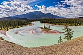 Kanada, Alberta, Kanadische Rocky Mountains als UNESCO-Welterbe, Jasper National Park, der Athabasca-Fluss bei Jasper mit Whistlers Mountain im Hintergrund