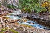 Kanada, Alberta, Kanadische Rocky Mountains, die zum UNESCO-Welterbe gehören, Banff-Nationalpark, Johnston Canyon