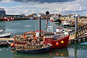 Irland, Grafschaft Fingal, Nördliche Vororte von Dublin, Howth, Fischereihafen