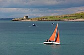 Ireland, Fingal County, northern suburbs of Dublin, Howth, sailboats off the wild island of Ireland's Eye