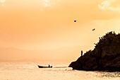 France, Caribbean, Lesser Antilles, Guadeloupe, Grande-Terre, Le Gosier, sunset on a fishing boat and the coastline overflown by 2 brown Pelicans (Pelecanus occidentalis) from the beach of the Créole Beach hotel