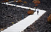 Spanien, Kanarische Inseln, La Palma, Spaziergänger auf einem Entdeckungspfad in einem vulkanischen Moor